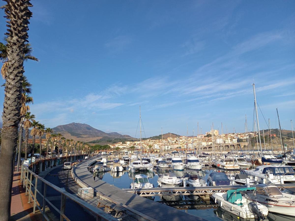 "Villa Llum I Mar", Au Coeur De Banyuls Sur Mer, 3 Chambres Avec Climatisation, 2 Sdb, Garage,6 Personnes, Classee 3 Etoiles Exteriör bild
